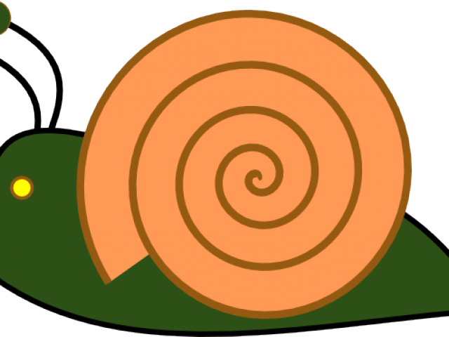 Slug Png (640x480), Png Download