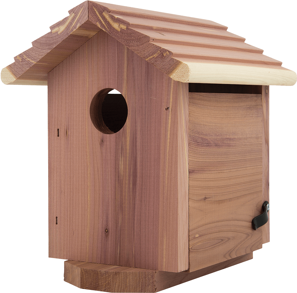 Home.png (1000x1000), Png Download