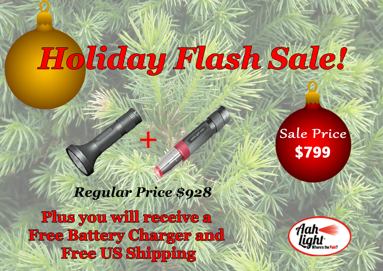 Christmas Sale Png (1272x900), Png Download