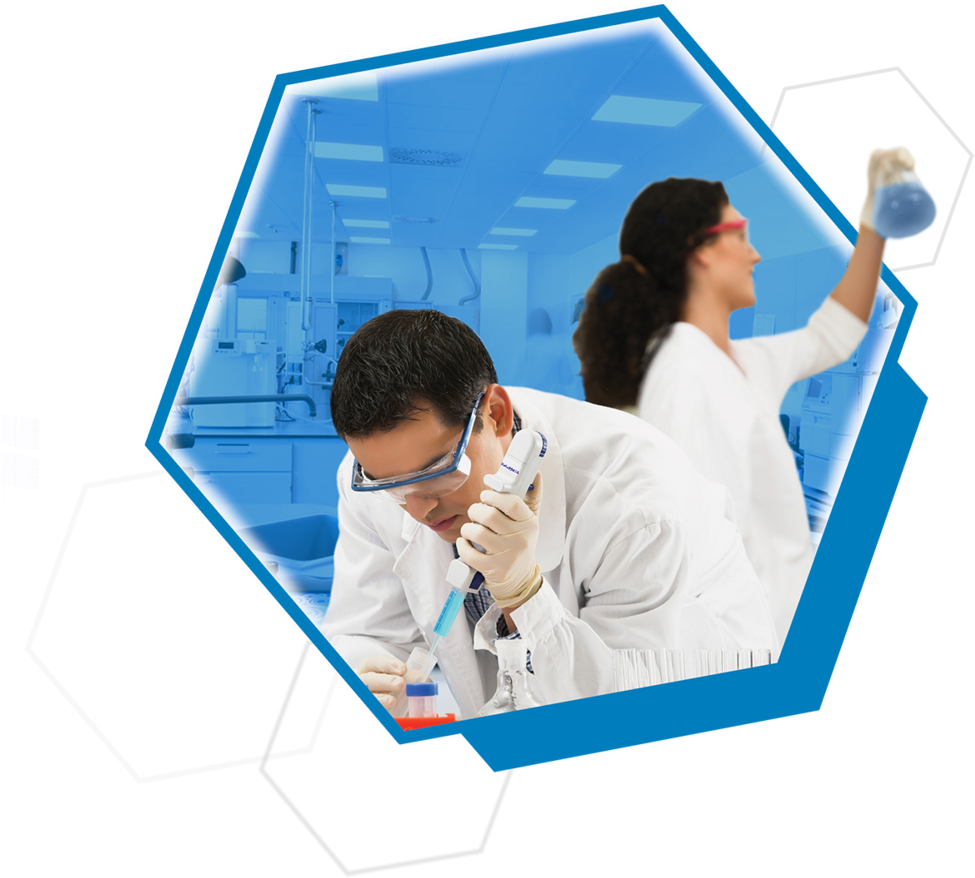 Labtox Workers (1000x1000), Png Download