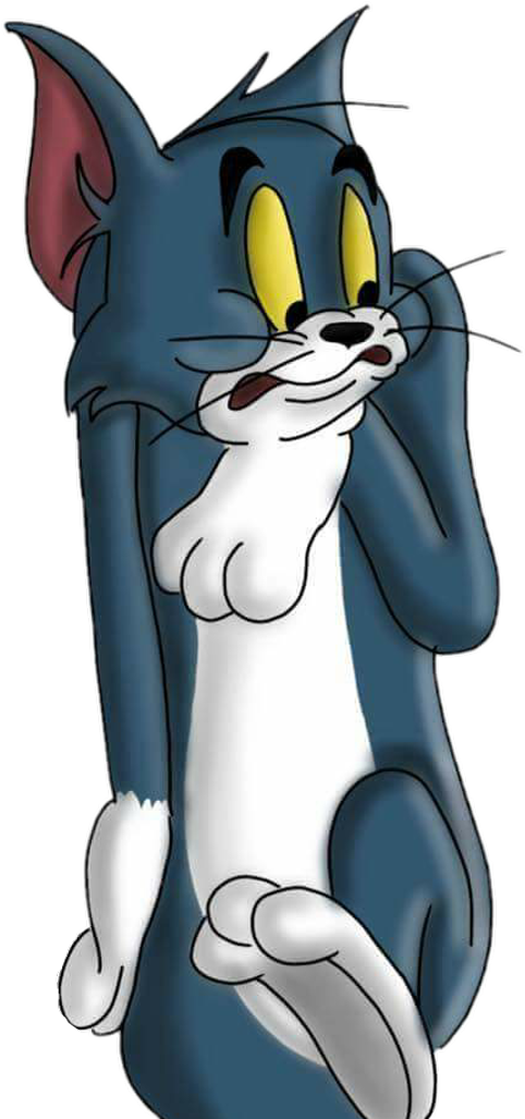 Tom Png (1024x1051), Png Download