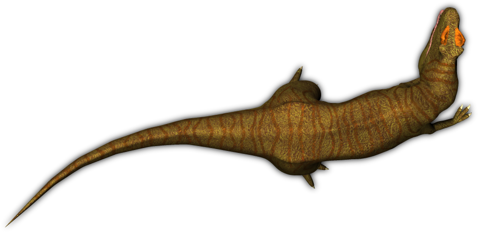 Allosaurus05 Sr (978x475), Png Download