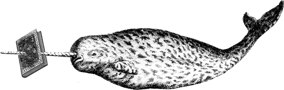 Flat-narwhal (1000x336), Png Download