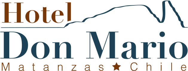 Hotel Mario Png (951x362), Png Download