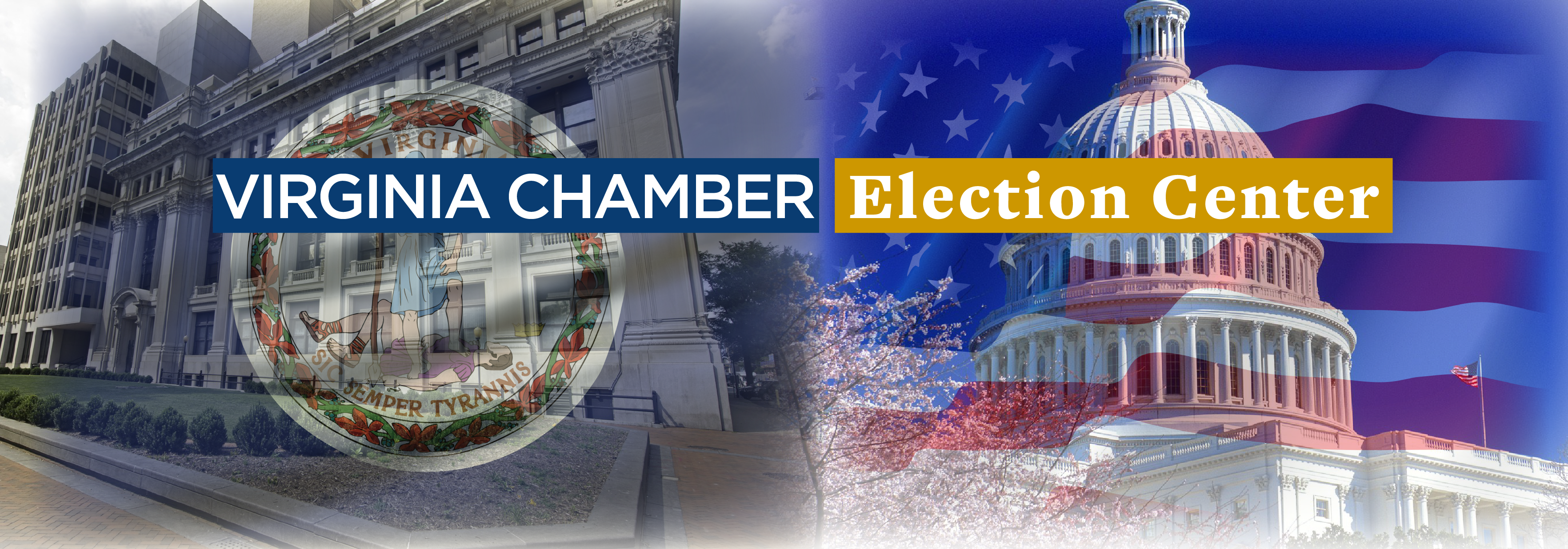 Artboard 9 1 (3528x1236), Png Download