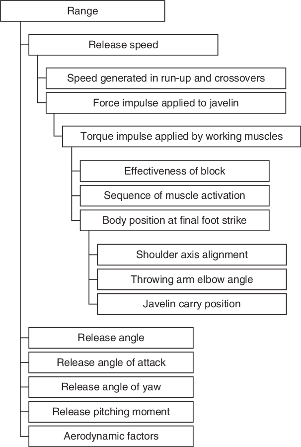 A Deterministic Or Hierarchical Model Of Javelin Throwing (606x899), Png Download