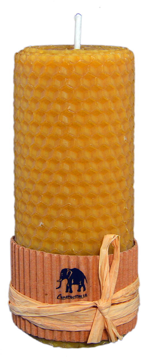 Abeja Png (2000x1400), Png Download