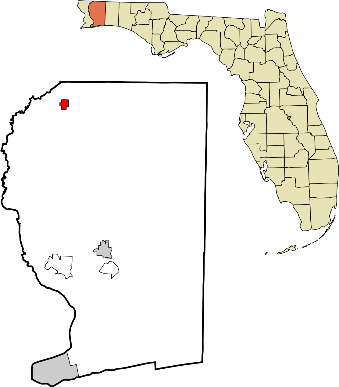 County Florida (1200x1371), Png Download