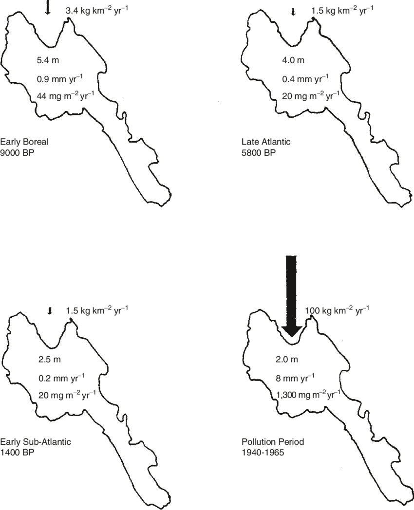 The Transport Of Phosphorus From The Catchment Area - Diagram (850x1048), Png Download