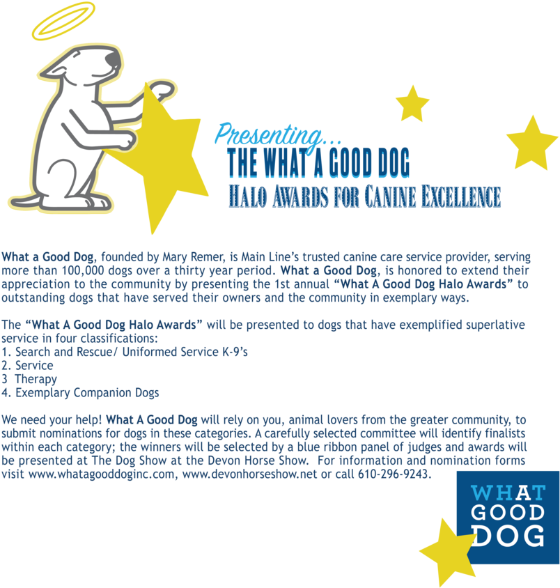Canine Awardsweb - Cartoon (1000x1000), Png Download