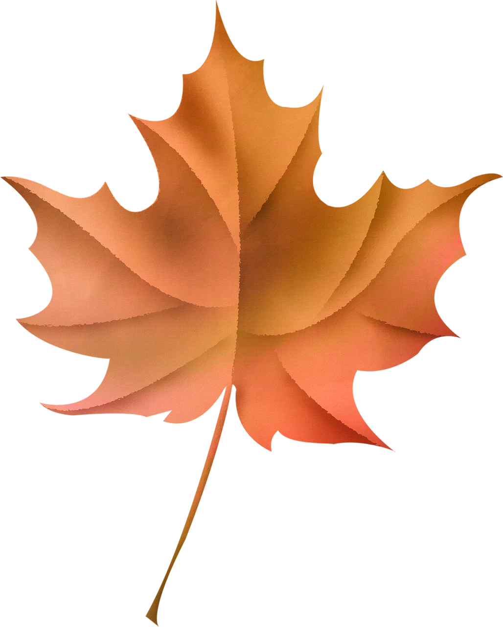 Ldw Af - Hojas Hermosas (1028x1280), Png Download