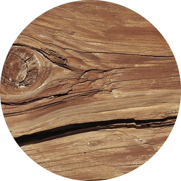 Traditional Oak - Plywood (600x600), Png Download