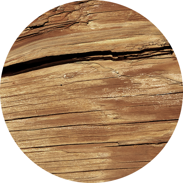 Weathered Grey Oak - Plywood (600x600), Png Download