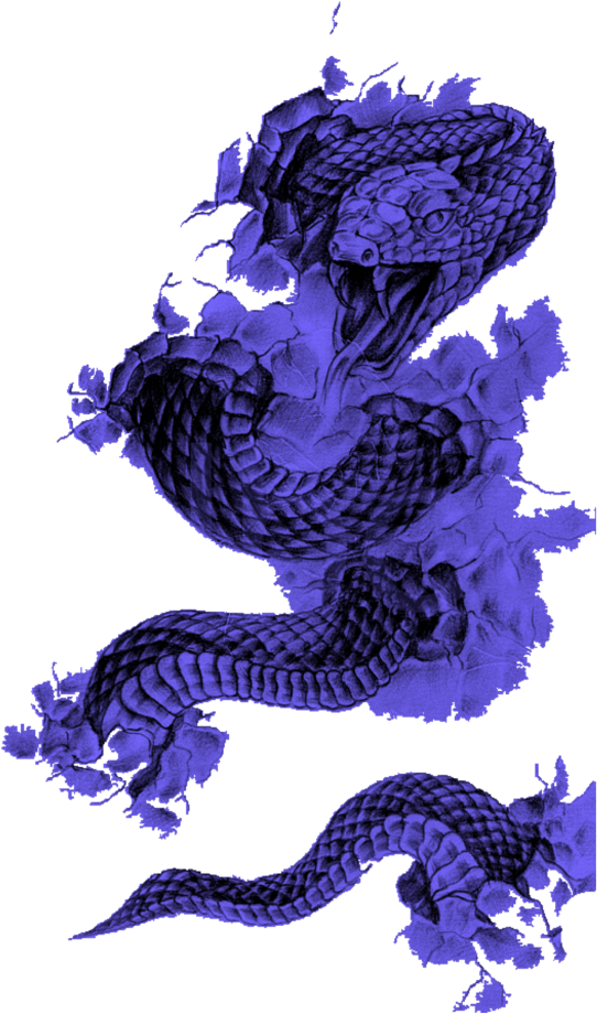 3d Snake Tattoo Designs (1024x1024), Png Download