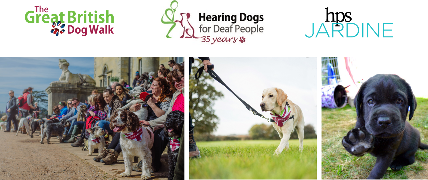 Appealing To Dog Owners, Animal Lovers And Charity (1680x707), Png Download