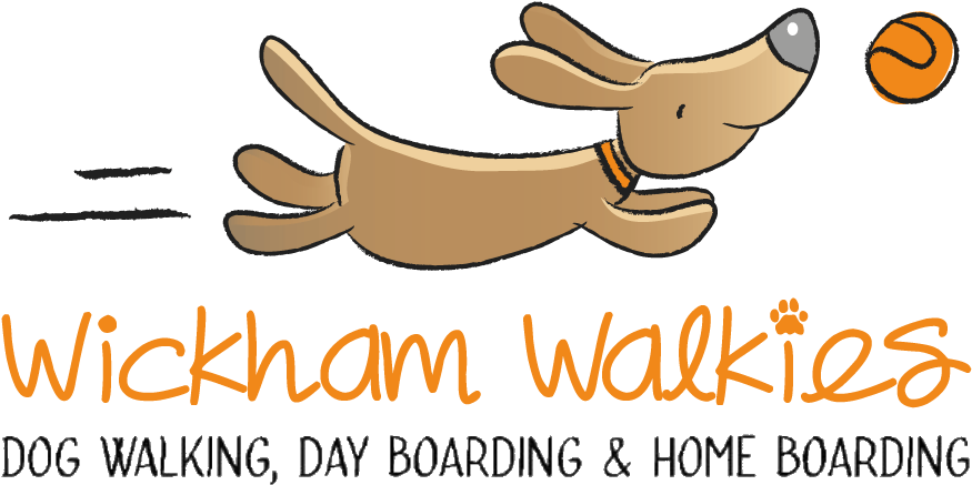 Wickham Walkies Dog Walking, Dog Boarding & Home Boarding - Cartoon (900x451), Png Download