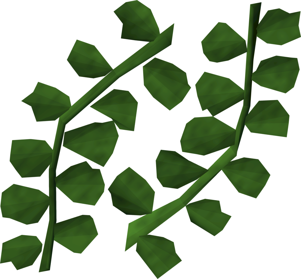 Seaweed Detail (1000x929), Png Download