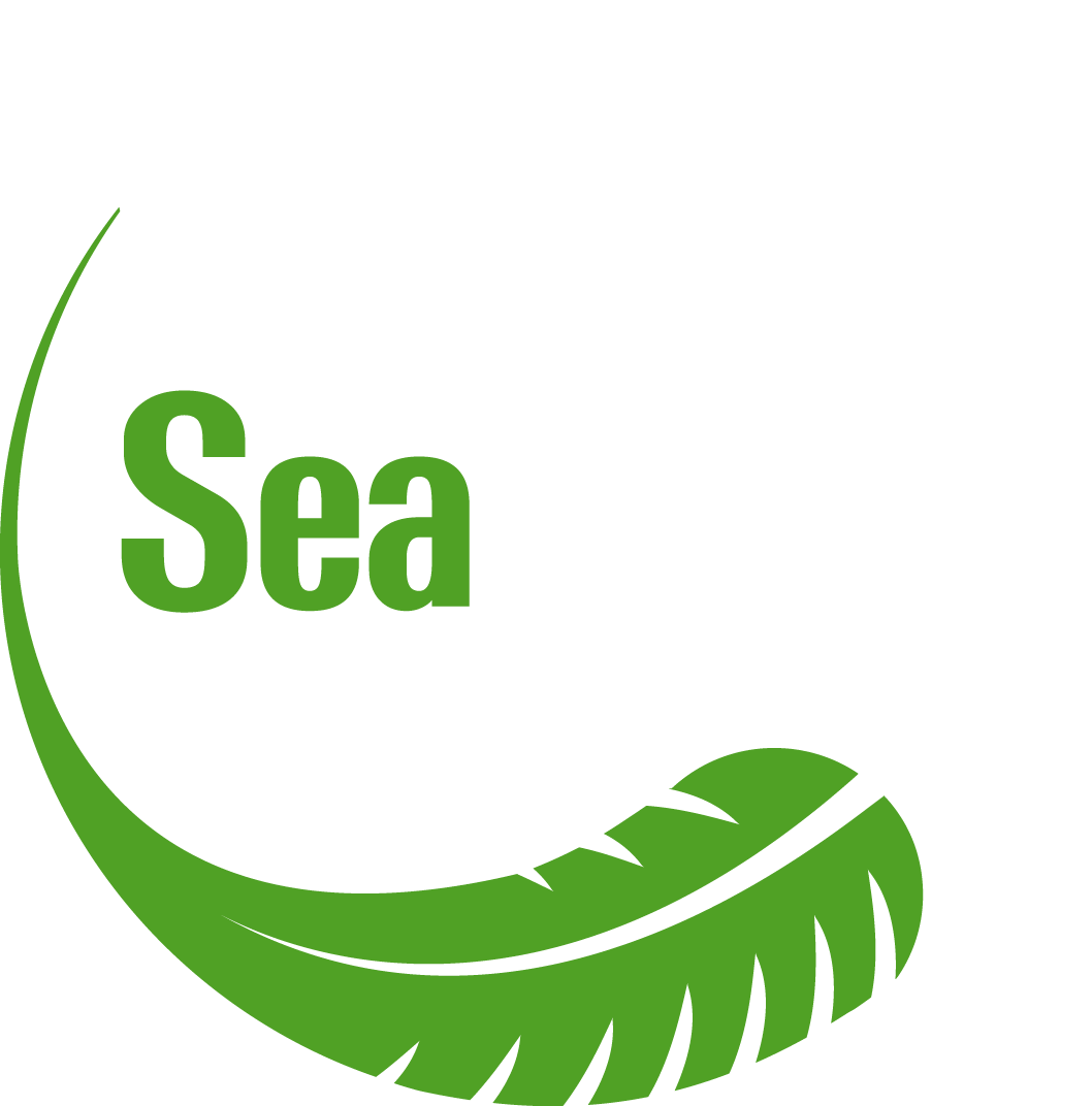 Seaweed Clipart Png (1058x1072), Png Download