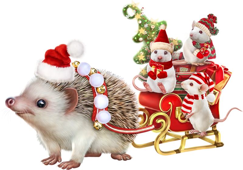 23 - Christmas Tubes Psp (800x560), Png Download