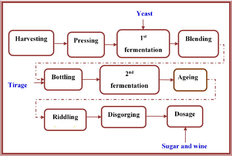 A Flow Diagram Of The Stages Of The Sparkling Winemaking - Symmetry (850x525), Png Download