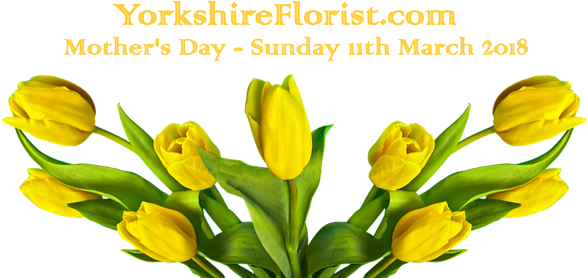 Mother S Day 11th March 2018 Menu Fresh Flower - Tulip (1200x600), Png Download