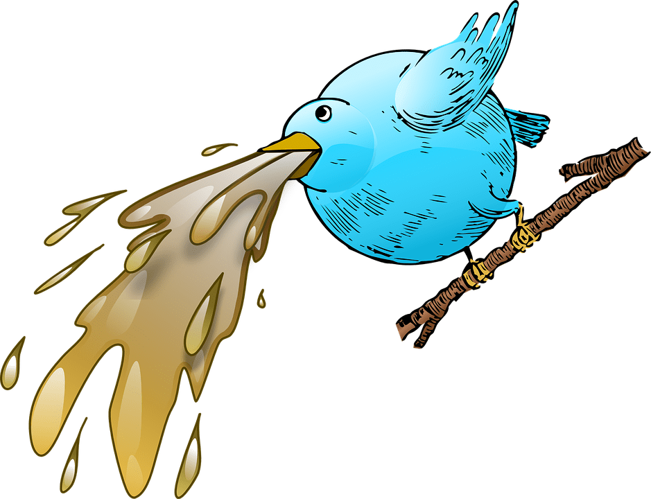 Cockatiel Clipart Pinterest - Vomito Png (939x720), Png Download