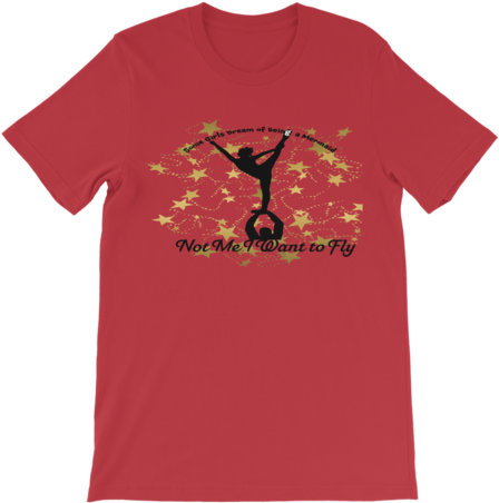 I Want To Fly ﻿classic Kids T-shirt - Bitcoin Is Stupid Shirt (480x480), Png Download