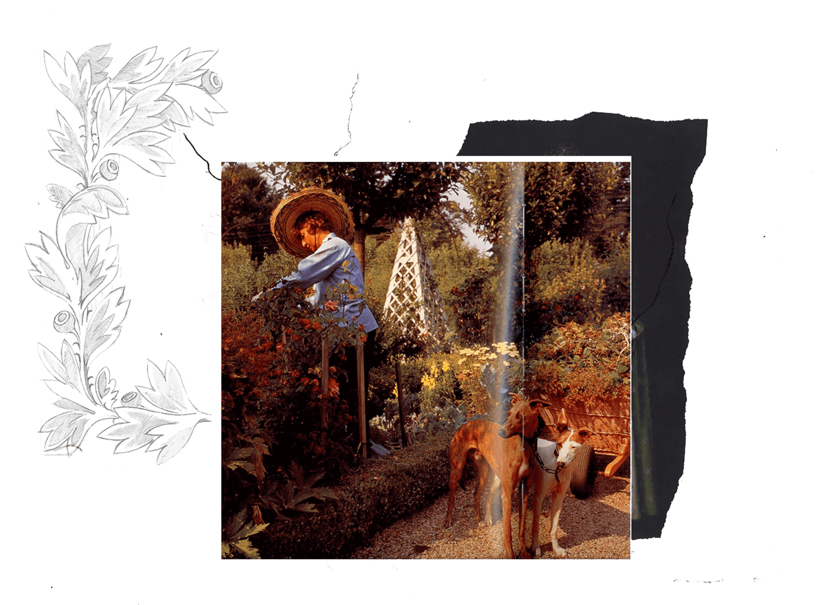 Picture Frame (2500x1500), Png Download
