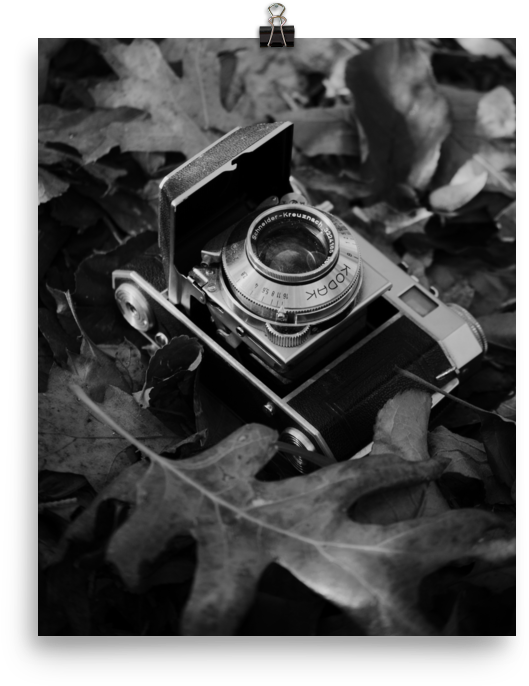 Vintage Camera Art Print Rachel Allison Shop - Camera (1000x1000), Png Download