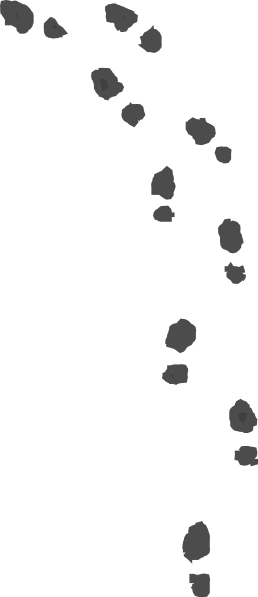 Footprints Black Clip Art At Clker - Footprints Png (258x597), Png Download