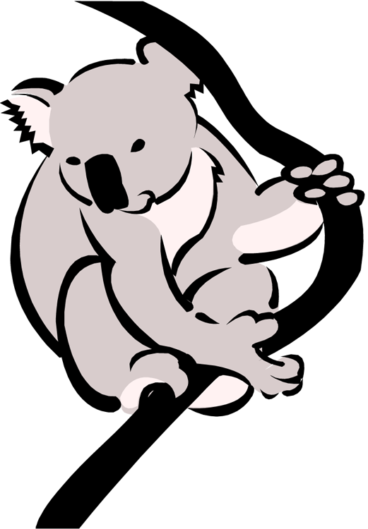 Download Koala Png Transparent Images Transparent Backgrounds - Koala Black And White Clip Art (521x750), Png Download