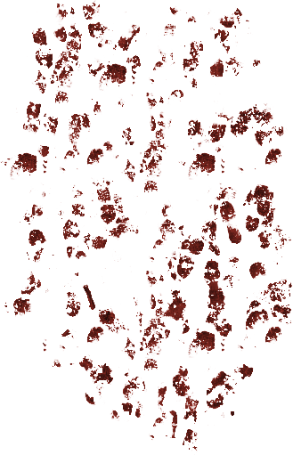 06 Feb 2009 - Illustration (329x511), Png Download