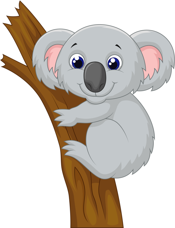 Koala Clipart Discussion - Native Australian Animals Cartoon (618x800), Png Download