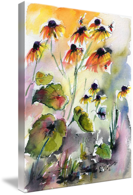 Coneflower Drawing Watercolor - Watercolor Painting (445x650), Png Download