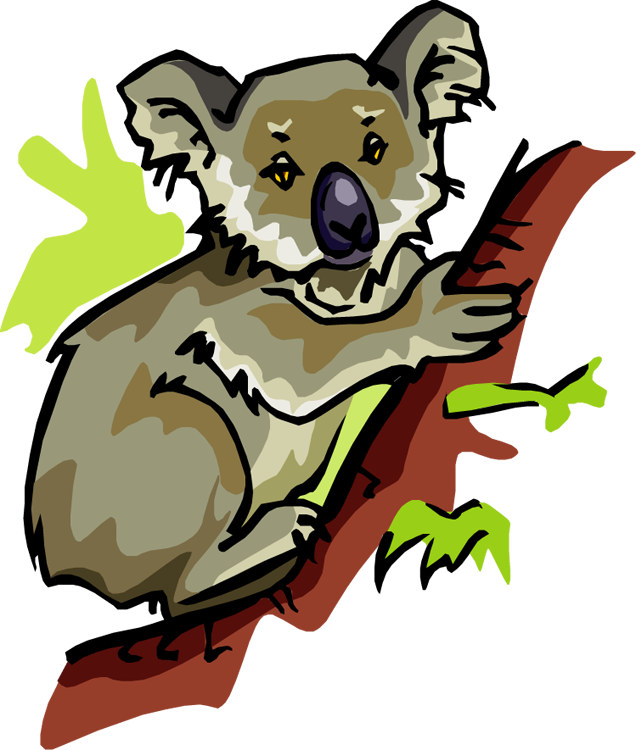 Clipart Of Koala (636x750), Png Download