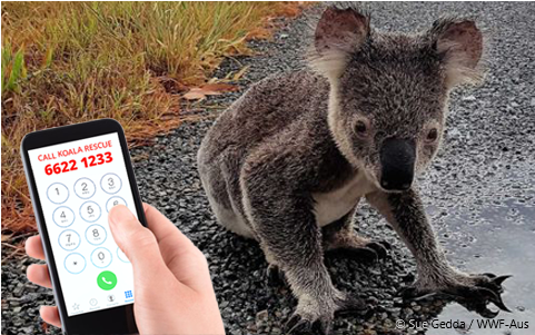 Slide 06 Fok Slider Rescue Hotline (480x525), Png Download