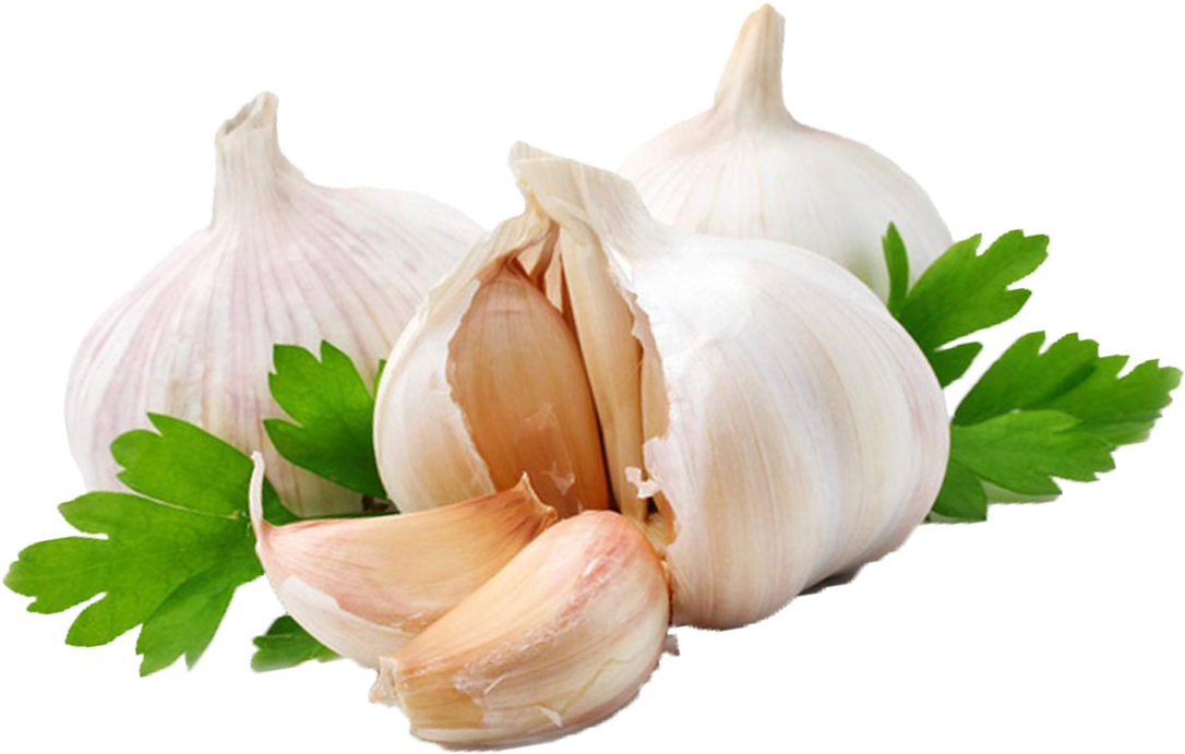Garlic Png - Garlic In Png (1144x722), Png Download