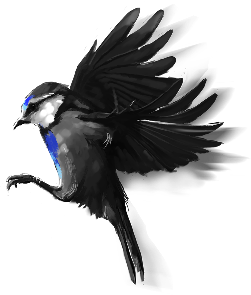 March 09, - Bird Png For Picsart (1200x1600), Png Download