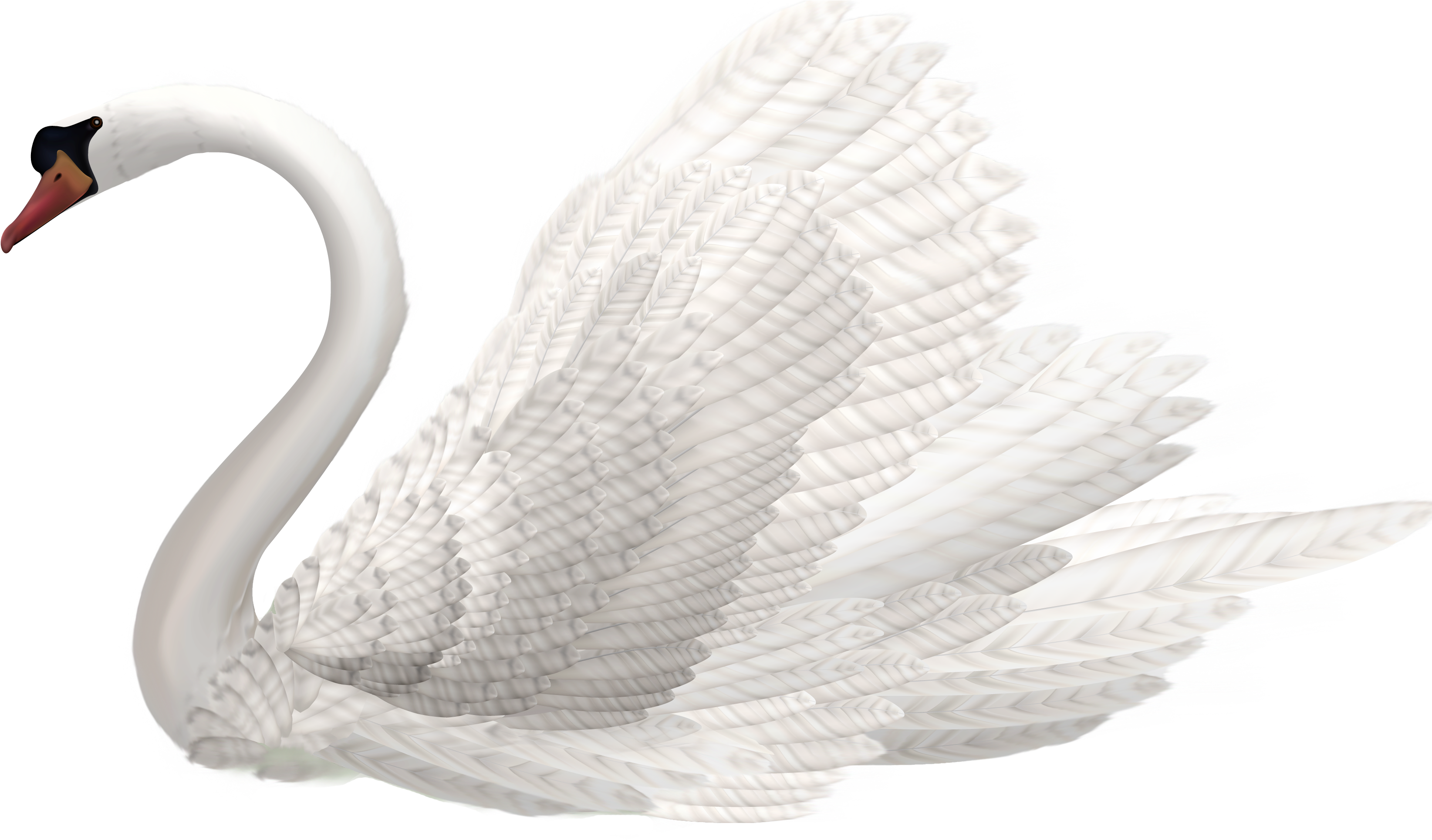 White Swan Png Clipart Image - Swan Png (3373x1971), Png Download