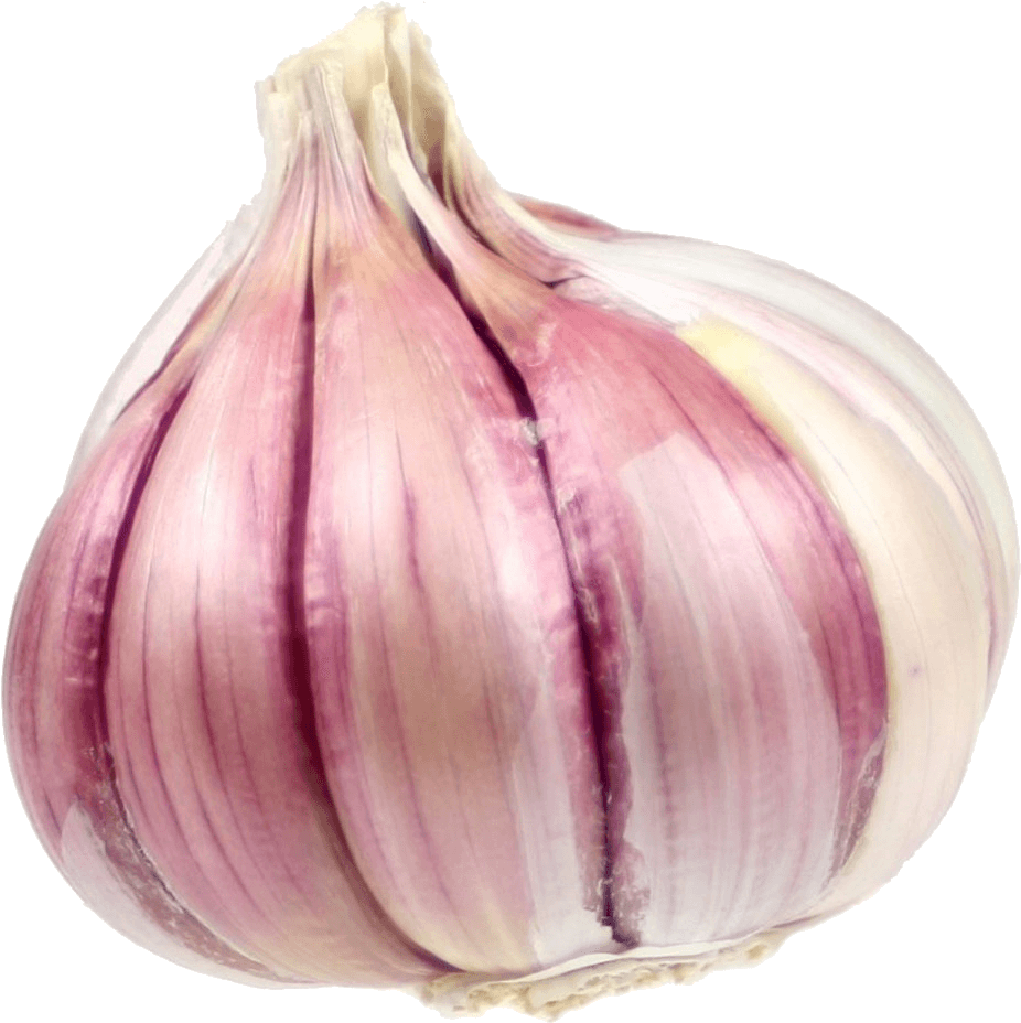 Growing Garlic - One Garlic (939x933), Png Download