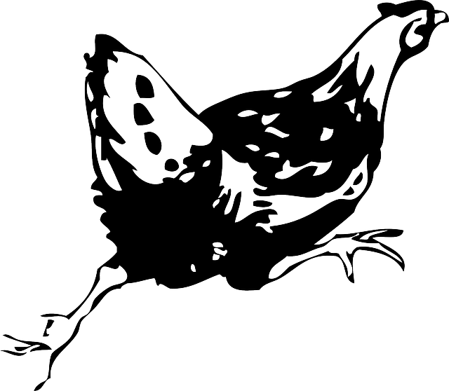 Animals, Black, Drawing, White, Cartoon, Birds, Bird - Hen Clip Art (640x558), Png Download