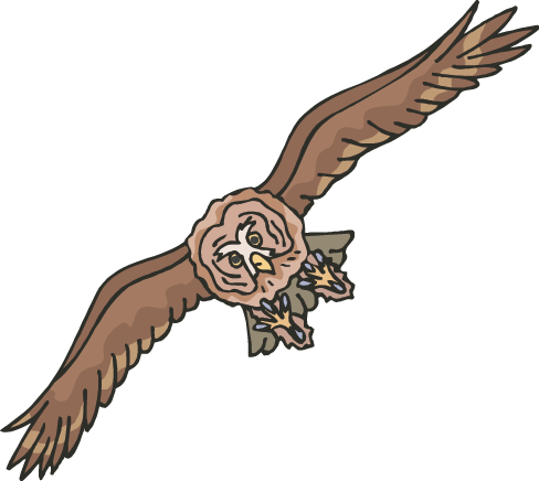 Owl - Flying Owl Clip Art (488x436), Png Download