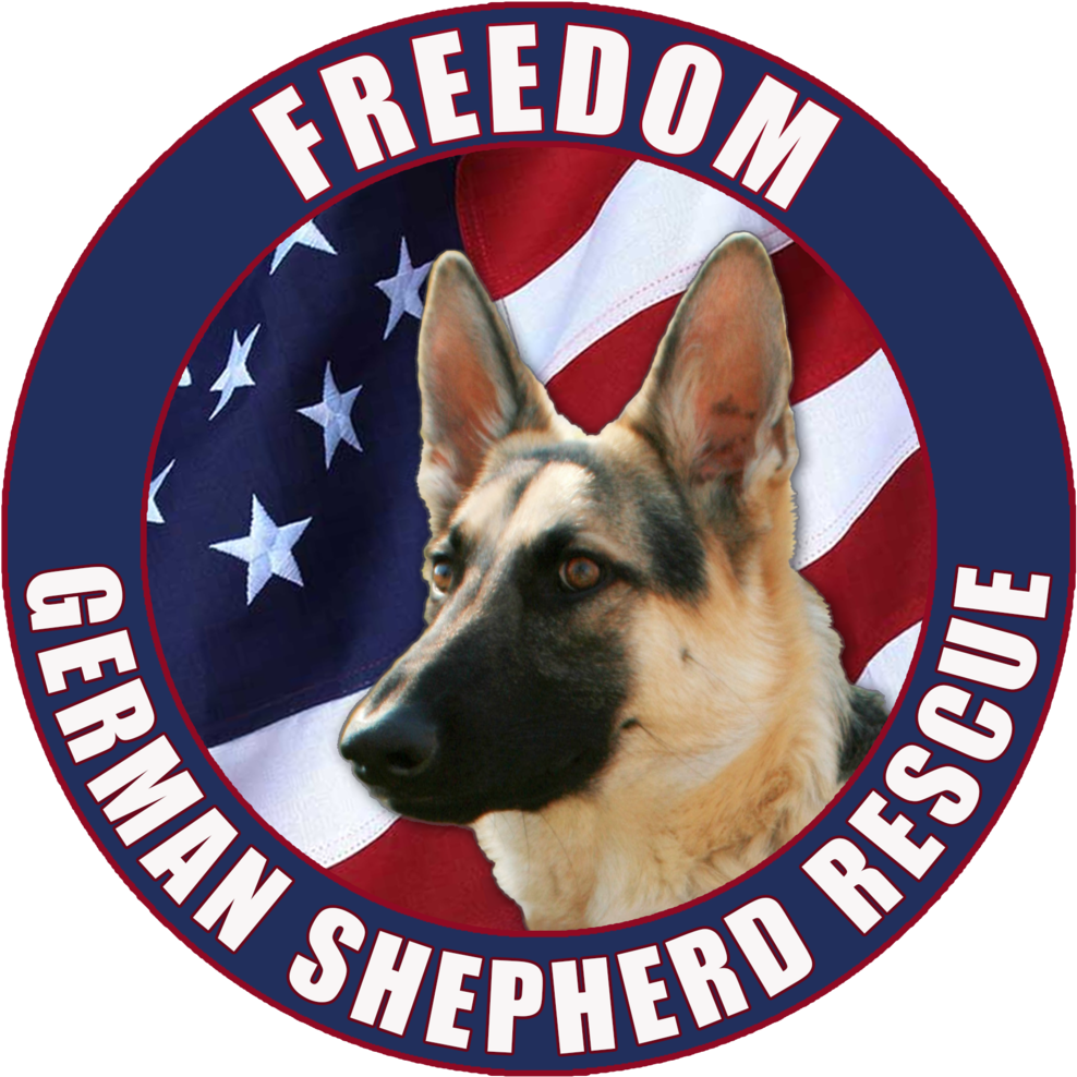 Fgsrlogo - St George Fire Department (1000x995), Png Download