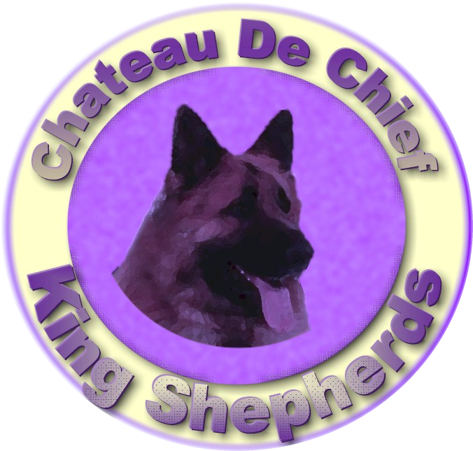 King Shepherd Dog - King Shepherd (685x650), Png Download