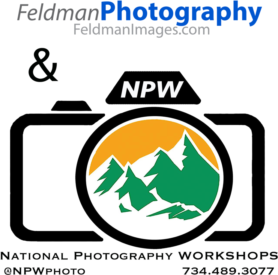 Feldman Photography - Emblem (1000x1000), Png Download