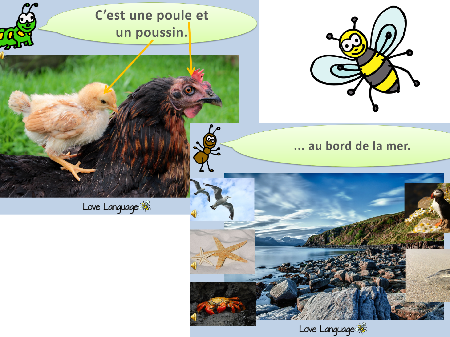 French Living Things - Honeybee (1911x1433), Png Download