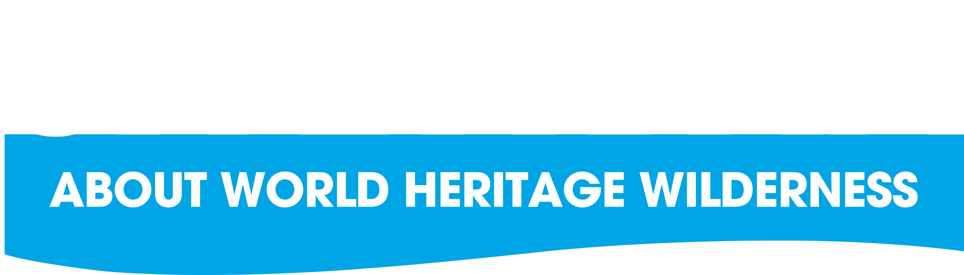 Majorelle Blue (2003x621), Png Download