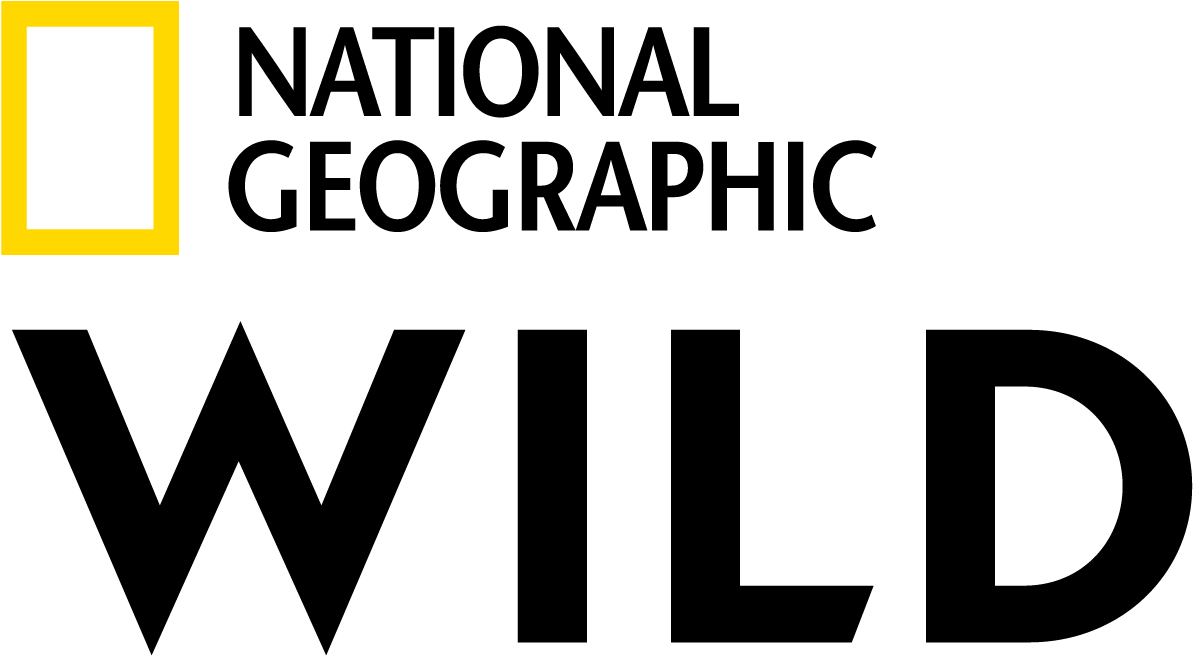 Logo - National Geographic (3508x2481), Png Download