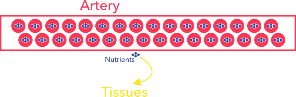 Nutrients - Circle (1000x329), Png Download