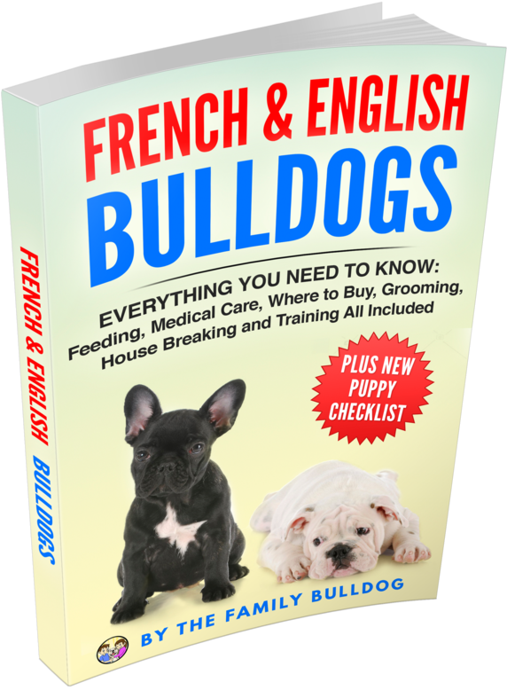 March On Washington 1963 (850x984), Png Download